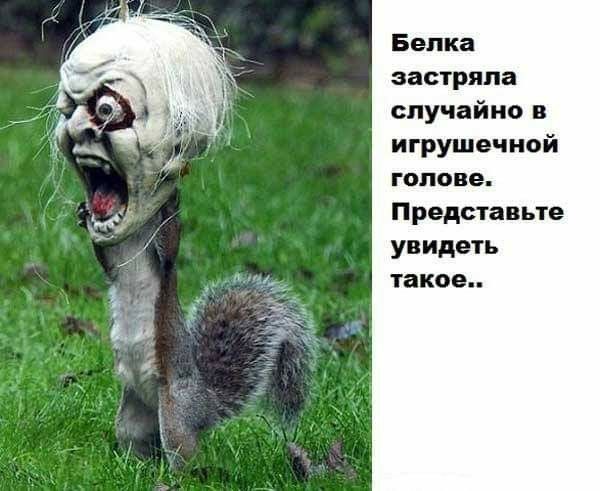 застряла случайно в игрушечной ГОЛОВЕ Представьте УВ идеть такое