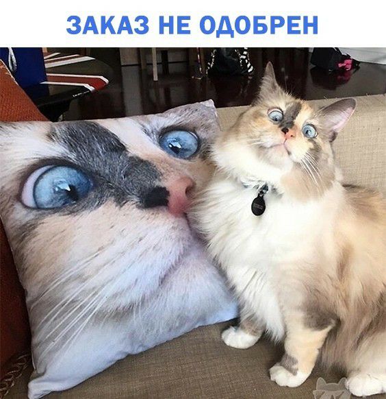 ЗАКАЗ НЕ ОДОБРЕН