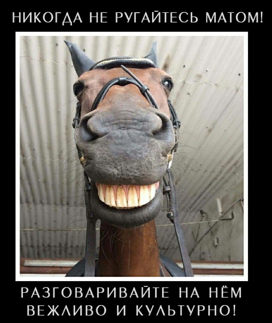 НИКОГДА НЕ РУГАЙТЕСЬ МАТОМ _ РАЗГОВАРИВАЙТЕ НА НЁМ ВЕЖАИВО И КУАЬТУРНО