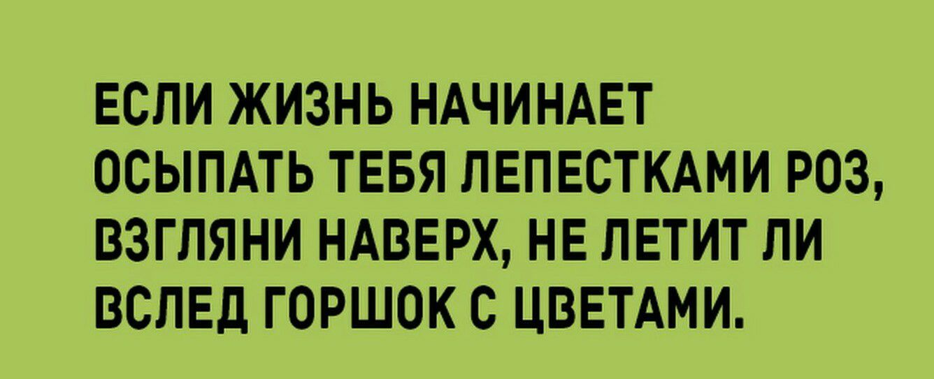 ЕСЛИ ЖИЗНЬ НАЧИНАЕТ ОСЫПАТЬ ТЕБЯ ПЕПЕСТКАМИ РОЗ ВЗГЛЯНИ НАВЕРХ НЕ ЛЕТИТ ЛИ ВСПЕД ГОРШОК С ЦВЕТАМИ