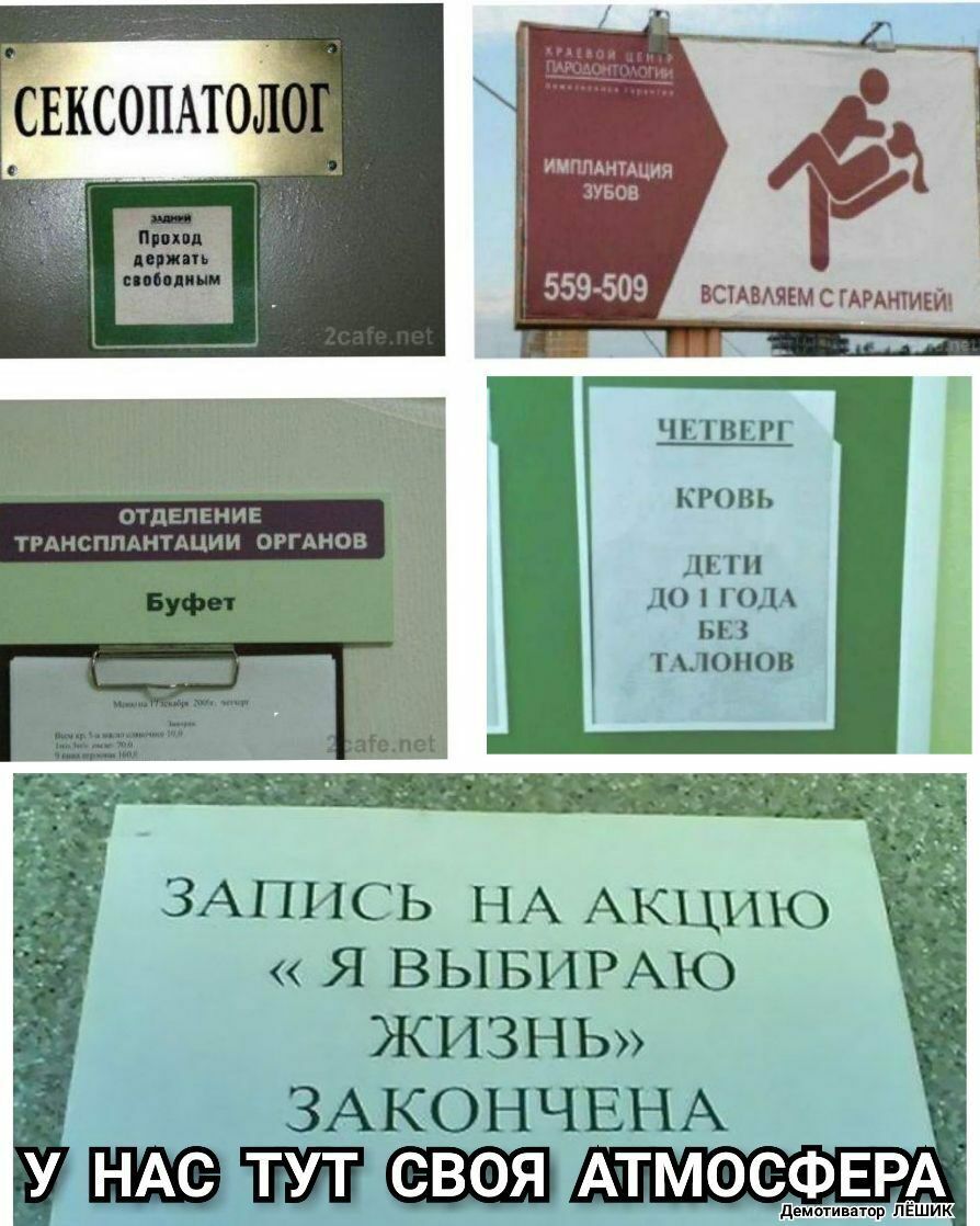 Секоопатолой вставаяем с гарантиейы четверг кровь дети до 1 года без талонов запись на акцию « я выбираю жизнь» закончена ; уднасттупдсвоя атмосфера.
