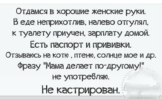 Отдамся в хорошие женские руки В еде неприхотлив налево опулял к туалету приучен зарплату домой Есть паспорт и прививки ОТЗЫВЭЮСЬ на КОТЮ ПТВНЮ СОПНЦЭ мое И Др Фразу Мама делает по другому не употребляю Не кастрирован