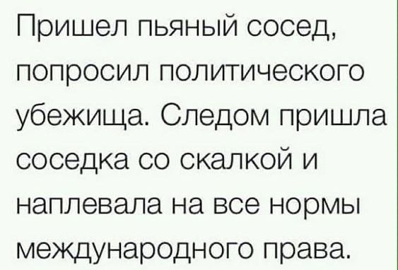 Пришел пьяный сосед попросил политического убежища Следом пришла соседка со скалкой и наплевапа на все нормы международного права