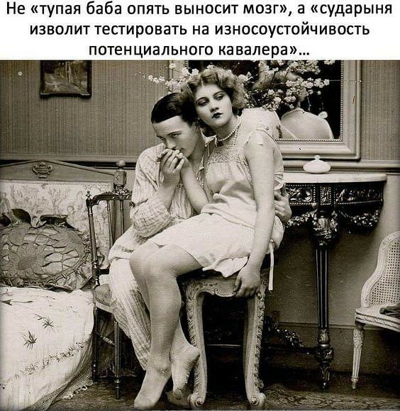 Не тупая баба опять выносит мозг а сударыня изволит тестировать на износоустойчивость