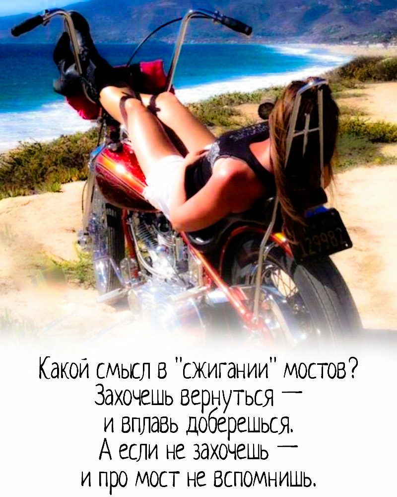 Какой смьсл в сжигании мостов Захочешь вернуться _ и вплавь доберешься А если не захочешь _ и про мост не вспомнишь