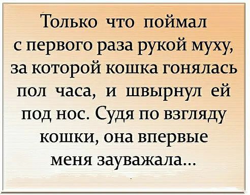 Только что поймал с первого раза рукой муху за которой кошка гонялась пол часа И швырнул ей под нос Судя по взгляду кошки она впервые меня зауважала