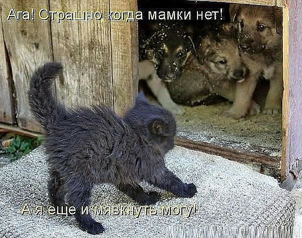 мамки нет
