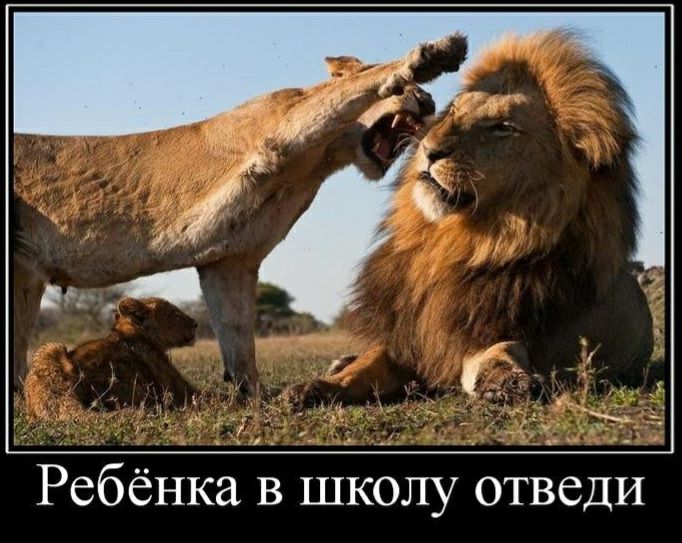 Ребёнка в школу отведи