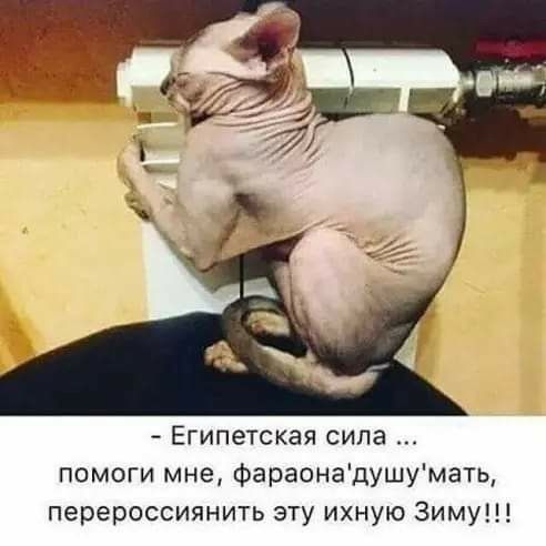 Египетская сила помоги мне фараонадушумать перероссиянить эту ихную Зиму