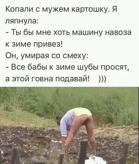 Копапи с мужем картошку Я ляпнула Ты бы мне хоть машину навоза к зиме привез Он умирая со смеху Все бабы к зиме шубы просят а этой говна подавай