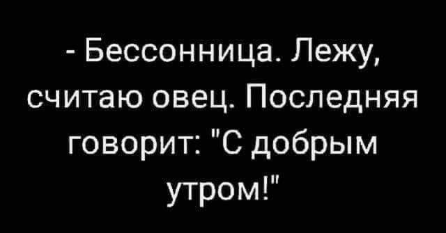 Бессонница Лежу считаю овец Последняя говорит С добрым утром