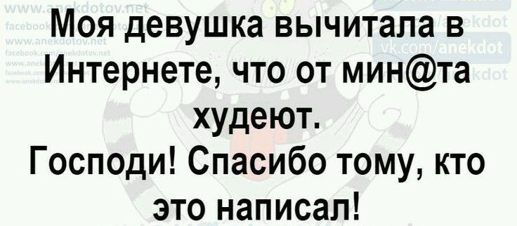Моя девушка вычитала в Интернете что от минта худеют Господи Спасибо тому кто это написал