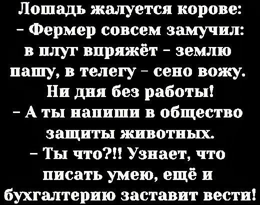 Лошадь жалуется корове Фермер совсем замучил в плуг впряжёт землю нашу в телегу сено вожу Ни дня без работы А ты напиши в общество защиты животных Ты что Узнает что писать умею ещё и бухгалтерию заставит вести