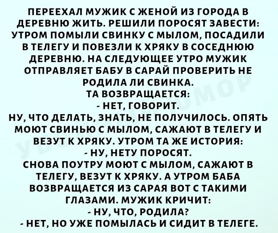 ПЕРЕЕХАЛ МУЖИК С ЖЕНОЙ ИЗ ГОРОДА В ДЕРЕВНЮ ЖИТЬ РЕШИЛИ ПОРОСЯТ ЗАВЕСТИ УТРОМ ПОМЫЛИ СВИНКУ С МЫЛОМ ПОСАДИЛИ В ТЕЛЕГУ И ПОВЕЗЛИ К ХРЯКУ В СОСЕДНЮЮ ДЕРЕВНЮ НА СЛЕДУЮЩЕЕ УТРО МУЖИК ОТПРАВЛЯЕТ БАБУ В САРАЙ ПРОВЕРИТЬ НЕ РОДИЛА ЛИ СВИНКА ТА ВОЗВРАЩАЕТСЯ НЕТ ГОВОРИТ НУ ЧТО ДЕЛАТЬ ЗНАТЬ НЕ ПОЛУЧИЛОСЬ ОПЯТЬ МОЮТ СВИНЬЮ С МЫЛОМ САЖАЮТ В ТЕЛЕГУ И ВЕЗУТ К ХРЯКУ УТРОМ ТА ЖЕ ИСТОРИЯ НУ НЕТУ ПОРОСЯТ СНОВА ПОУТРУ