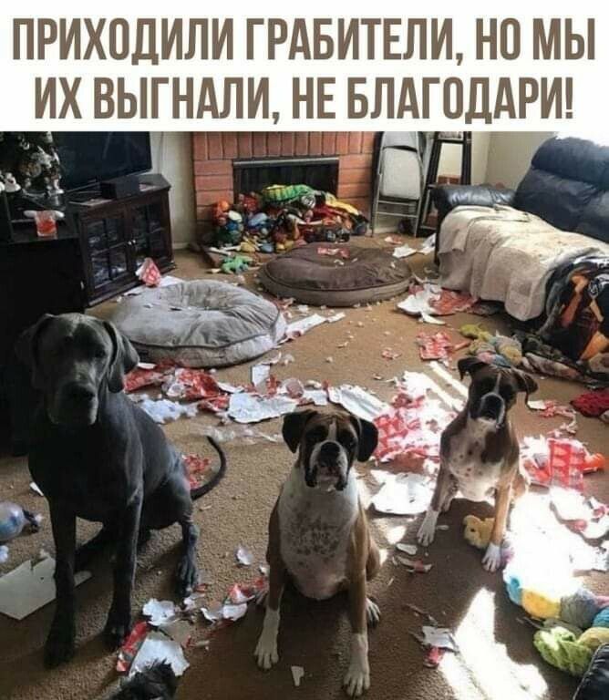 ПРИХОДИЛИ ГРАБИТЕЛИ НО МЫ ИХ ВЫГНАЛИ НЕ БЛАГОДАРИ