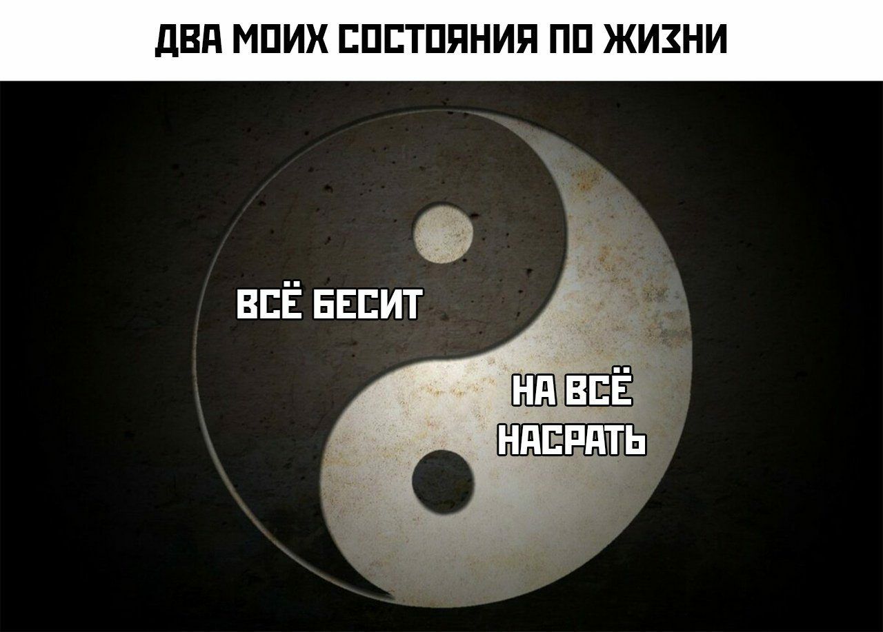 двд МПИХ ЕПЕТПЯНИЯ ПП ЖИЗНИ