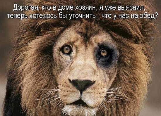 Доро в доме хозяин, я уже вы тепервжотелось бы уточнить  что у нас