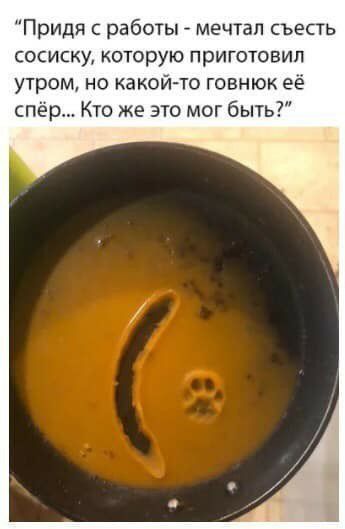 Придя с работы мечтал съесть сосиску которую приготовил утром не какой то говнюк её спёр Кто же это мог быть