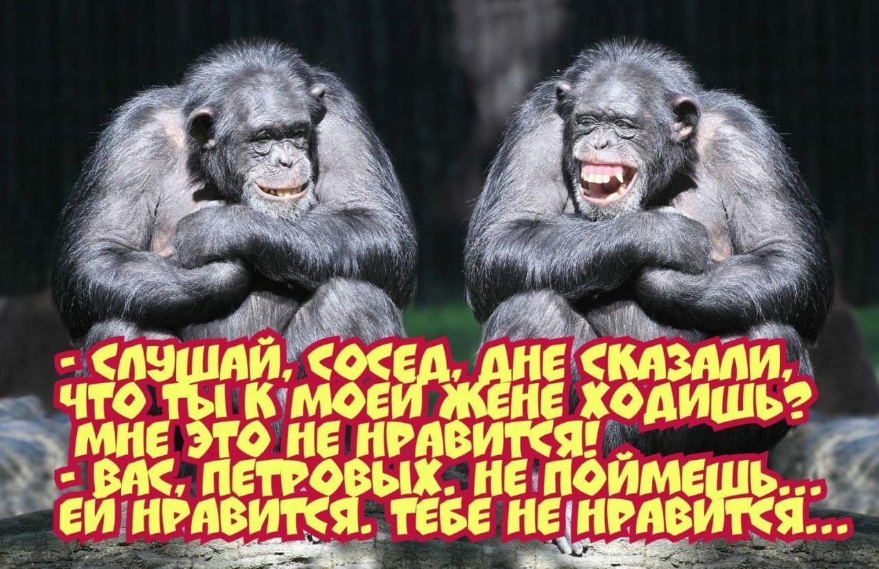 в ни о чтогЁткімоеБЁ ОЛЕ ЕП ЕИЁНРАВИТЗ