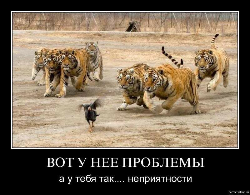 ВОТ У НЕЕ ПРОБЛЕМЫ а У тебя так НЭПРИЯТНОСТИ