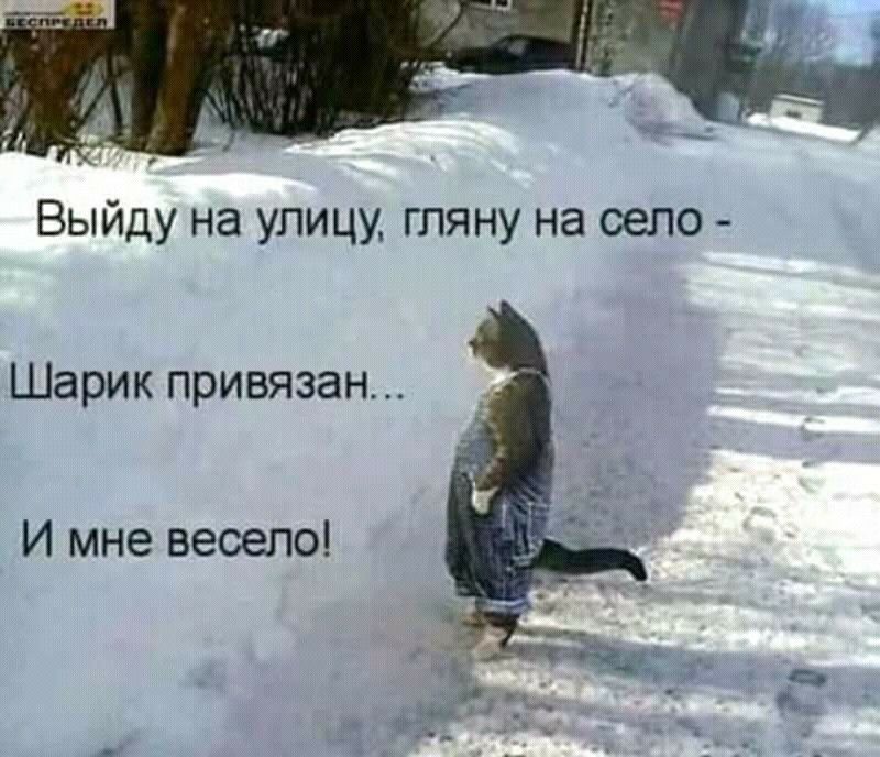 Шарик привязан И мне весело