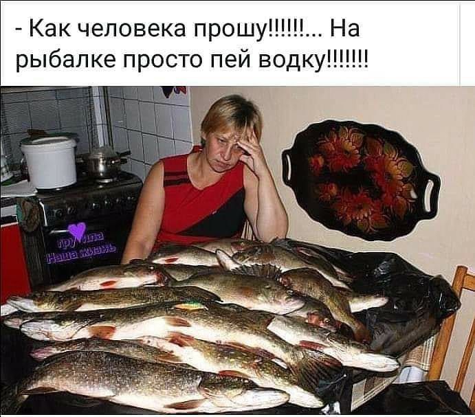 Как человека прошу На рыбалке просто пей водк