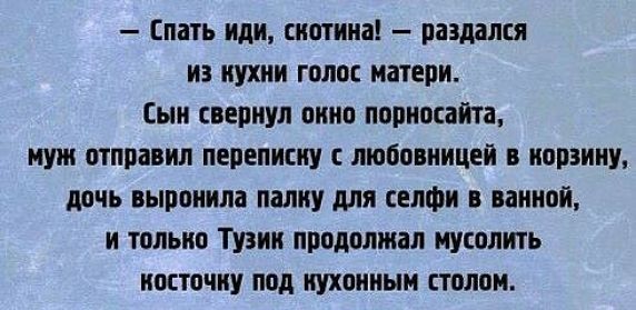 Мама пошла спать. Спать иди скотина. Иди спать скотина анекдот.