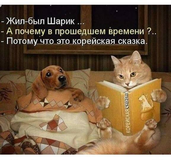 _ Жилбыл Шарик А почему в прошедшем времени Потому что это корейская сказка