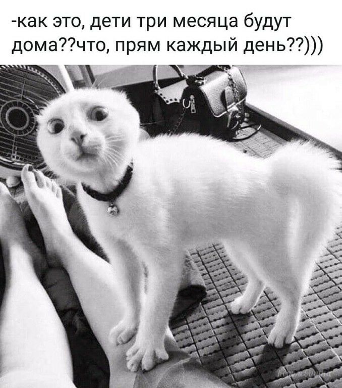 как это дети три месяца будут домачто прям каждый день _ к ш _