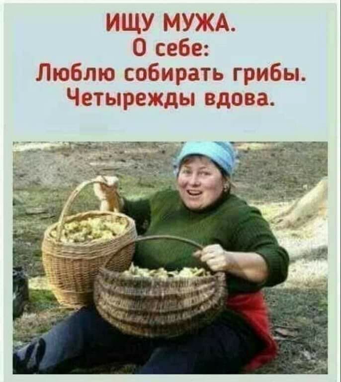 ИЩУ М СК