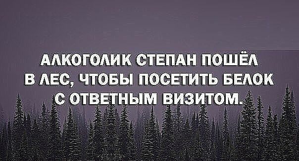 ААКОГОАИК СТЕПАЫ ПОШЕА