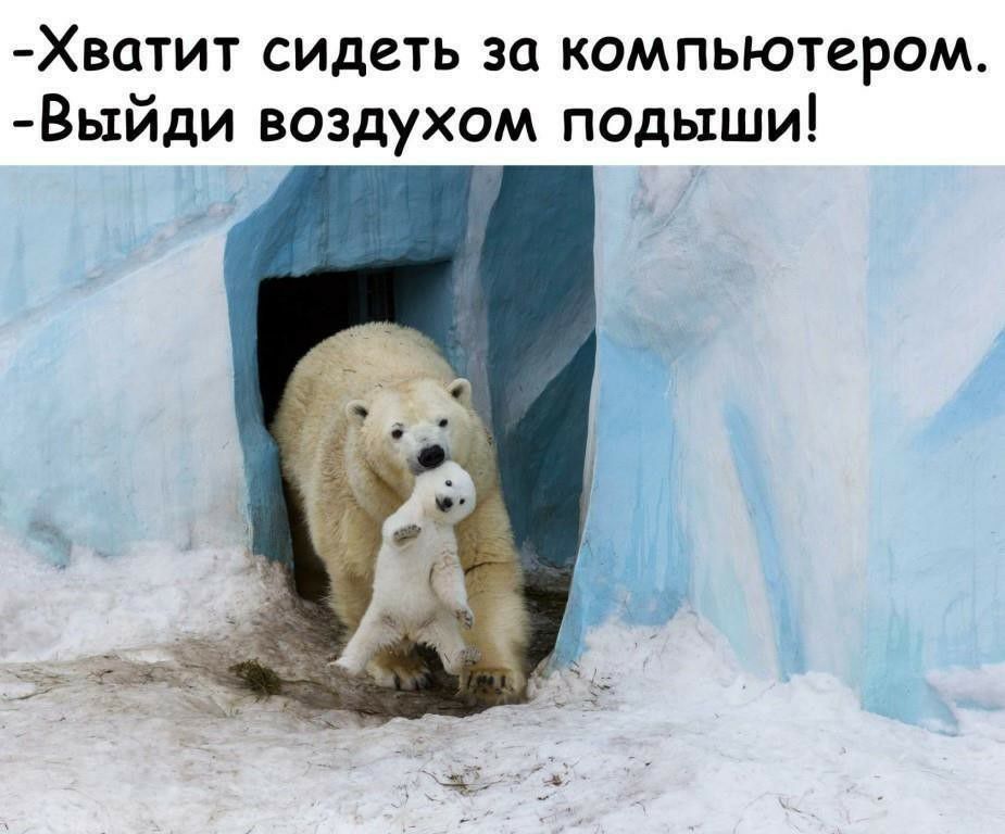 Хватит сидеть за компьютером Вьтйди воздухом подьхши