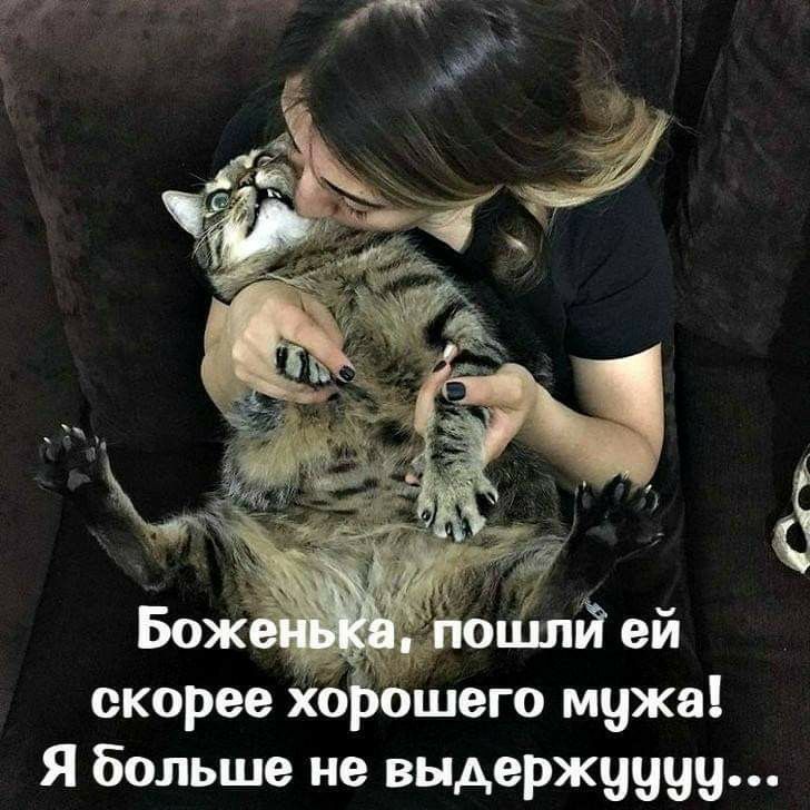 скорее ошего мужа Я больше не выдержуцш
