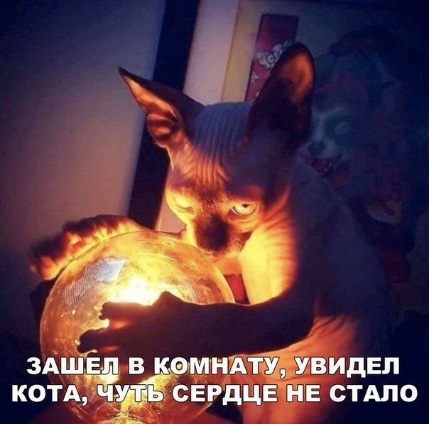 ндіёвидвл гдцв нЕ СТАЛО