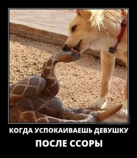 _ когдА успокдивдвшь девушку ПОСЛЕ ССОРЫ