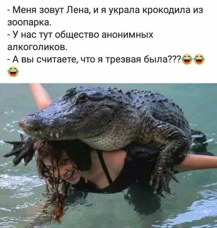 Меня зовут Лена и я украла крокодила из зоопарка У нас тут общество анонимных алкоголиков А вы считаете что я трезвая былаё