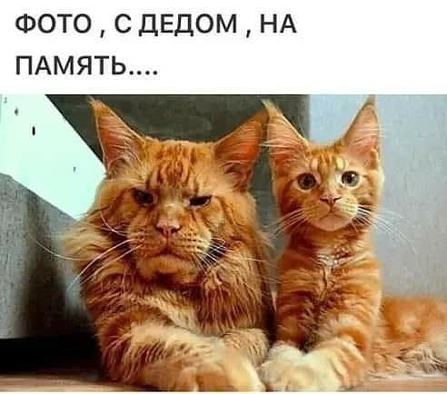 Фото  с дедом  на память.....