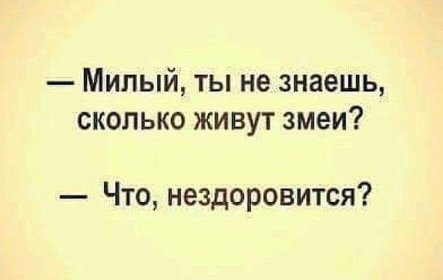 милый, ты не знаешь, сколько живут змеи?  Что, нездоровится?