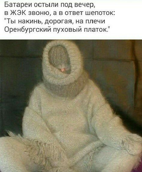 Батареи остыли под вечер в ЖЭК звоню а в ответ шепоток Ты накинь дорогая на плечи Оренбургский пуховый платок