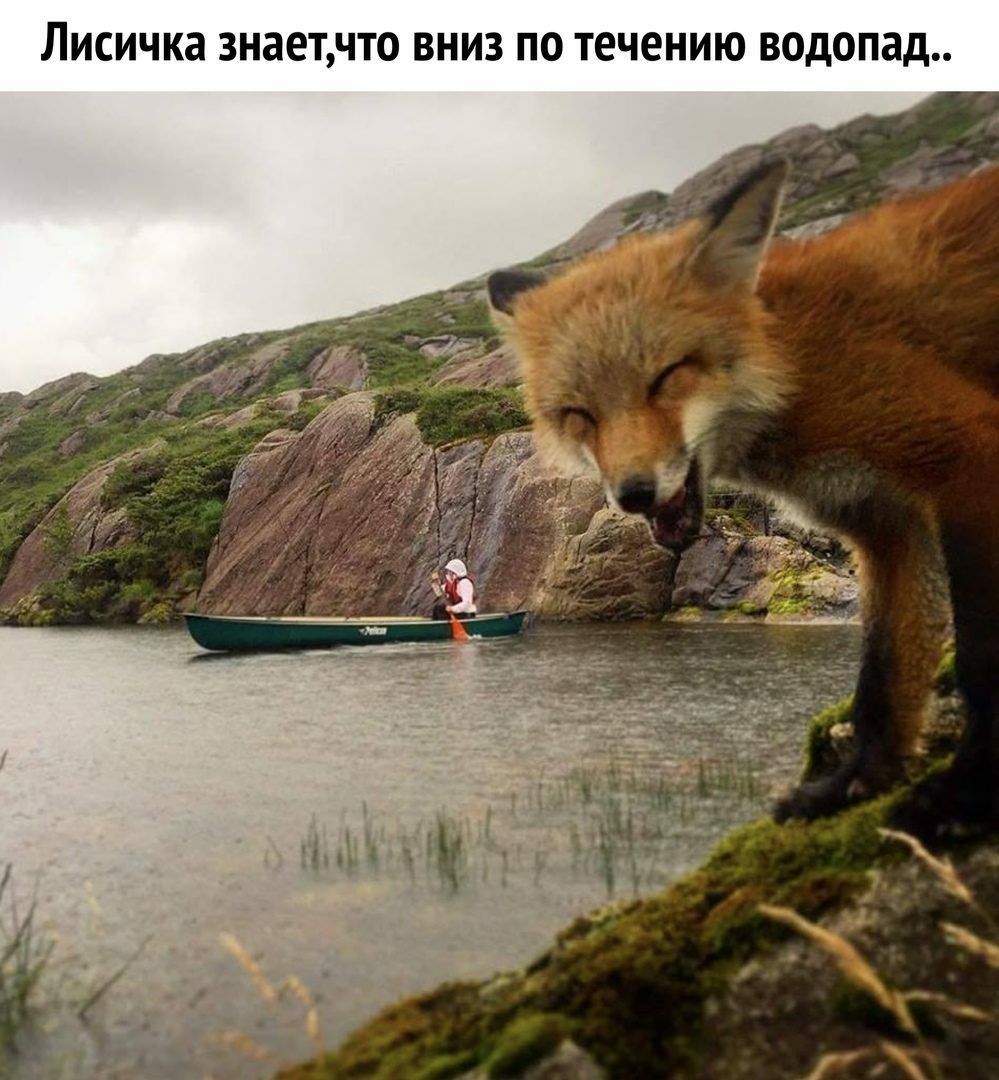 ЛИСИЧКЭ 3Н86ТЧТО ВНИЗ ПО течению водопад
