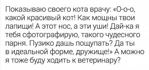 Показываю своего кота врачу Ооо какой красивый кот Как мощны твои лапищи А этот нос а эти уши Дайка я тебя сфотографирую такого чудесного парня Пузико дашь пощупать Да ты в идеальной форме дружище А можно я тоже буду ходить к ветеринару