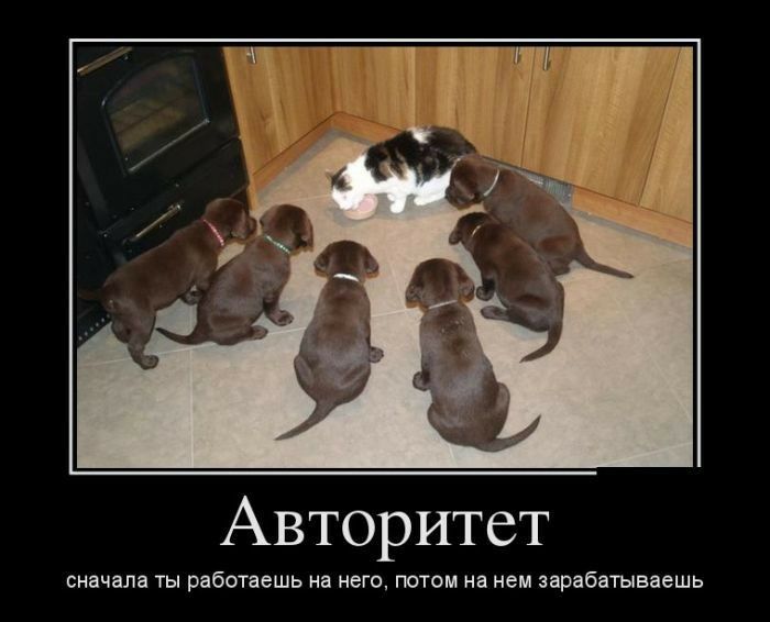 Авторитет сначала ТЫ работаешь на НЕГО ПОТОМ на нем зарабатываешь