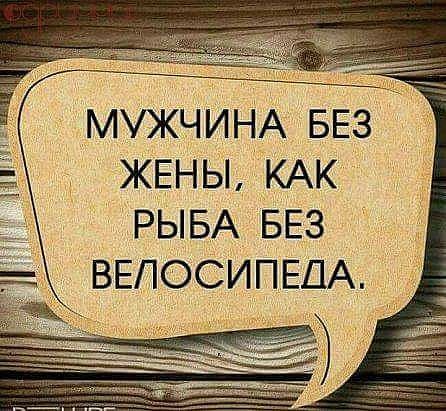 МУЖЧИНА БЕЗ жЕны КАК жёг РЫБА БЕЗ ВЕПОСИПЕДА