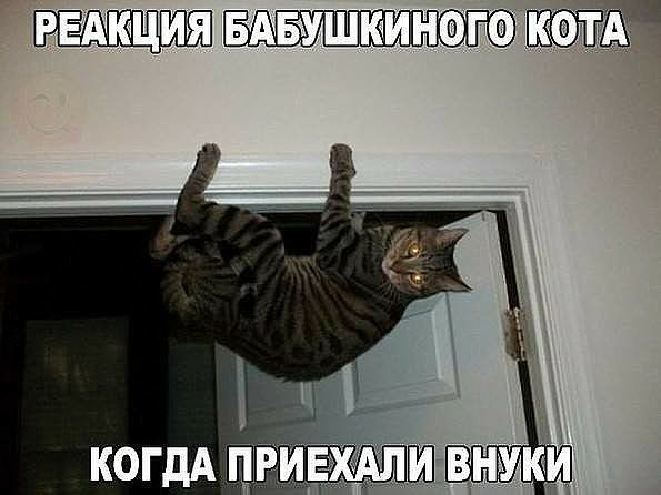 Р Акция 55 ушюиного А