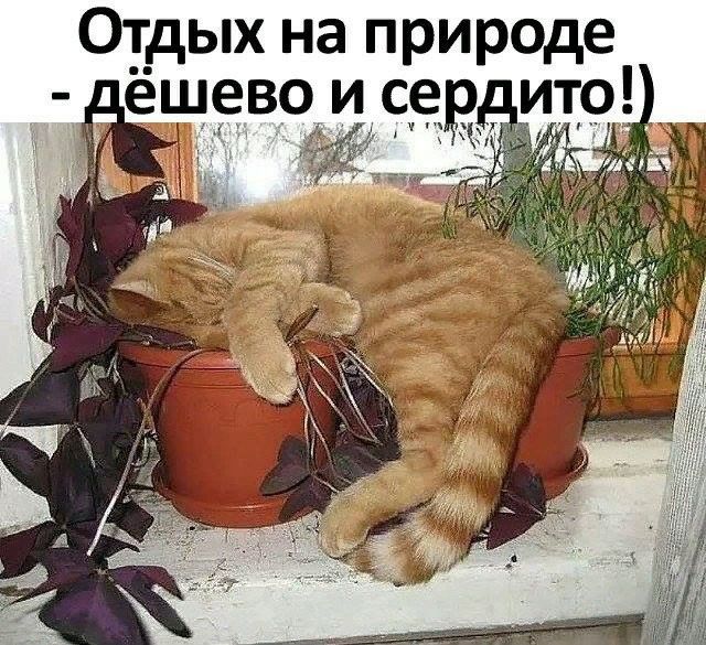 О_т_дых на природе лёщ9во и с9 ит9
