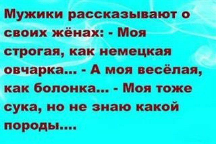 Мужики рассказывают о своих жёнах Моя строгая как немецкая овчарка А моя весёлая как болонка Моя тоже сука но но знаю какой породы