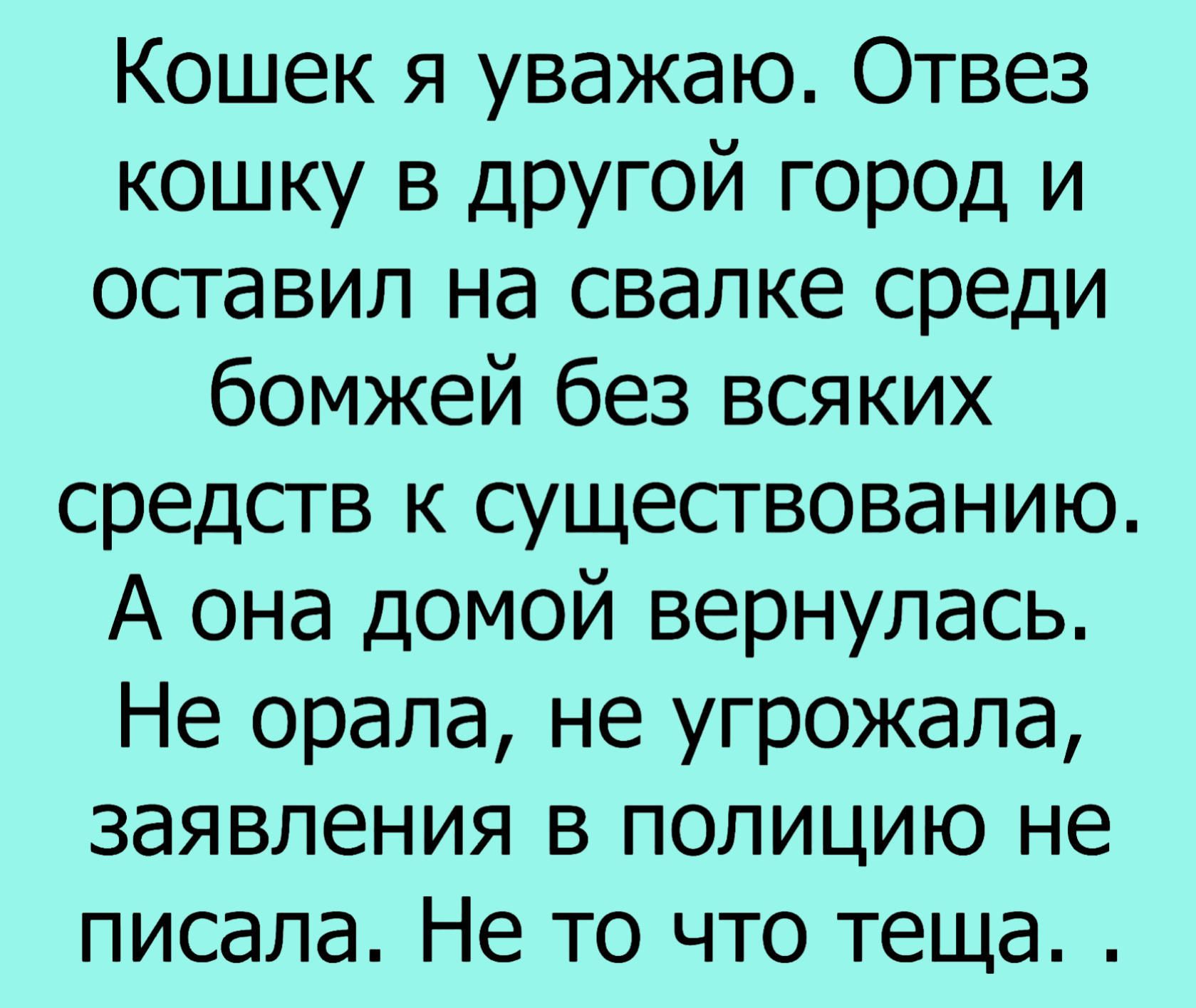 Кошек я уважаю Отвез кошку В ДРУГОЙ гор0д и оставил на свалке среди бомжей без всяких средств к существованию А она домой вернулась Не орала не угрожала заявления в полицию не писала Не то что теща