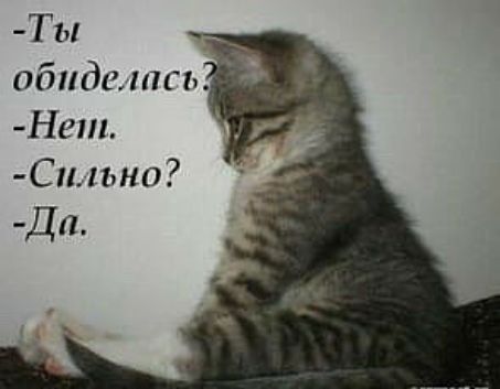 ТЫ обиделась Нет С1ыьно Дп