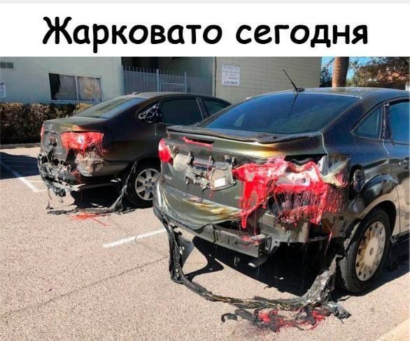 ЖОРКОВОТО ССГОДНЯ _ 74 _ __ _