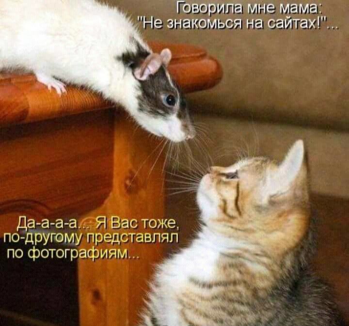 Говорила мне Мама Не знакомься на саитах Да а а а Я Вас тоже подругому представлял по фотографиям